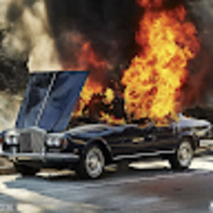 Meet your Posher, Carter